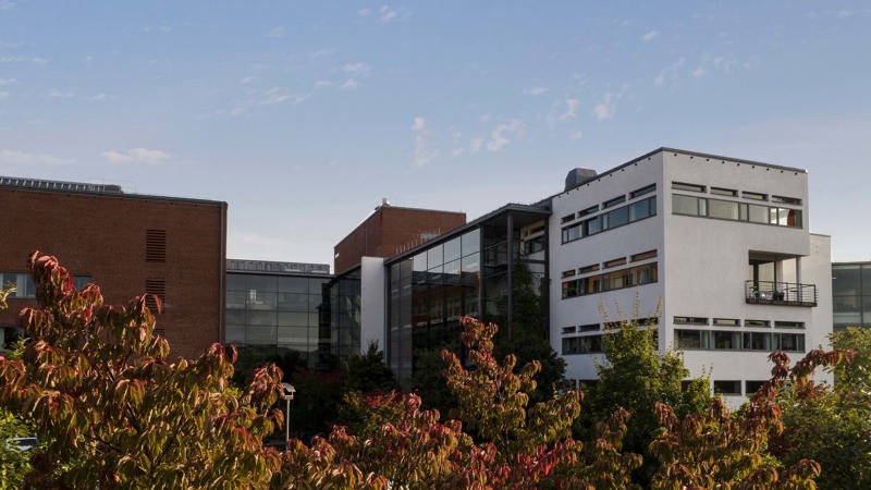 The Sandgärdet building in the background, treetops in the front