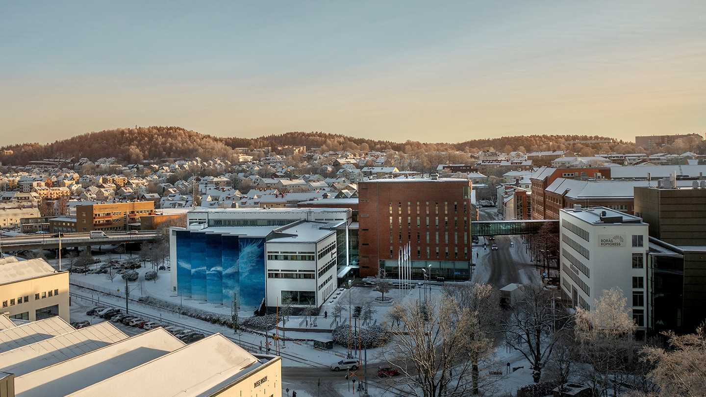 Vinter på campus