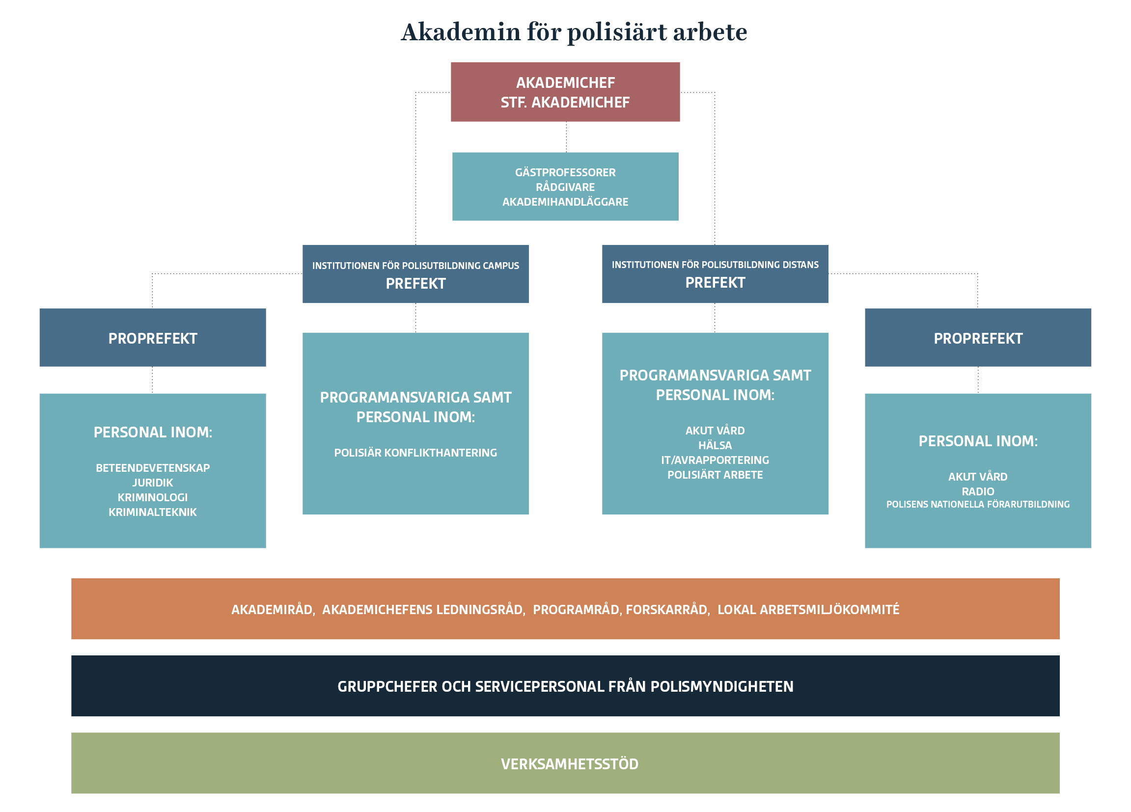 Organisationsskiss för Akademin för polisiärt arbete