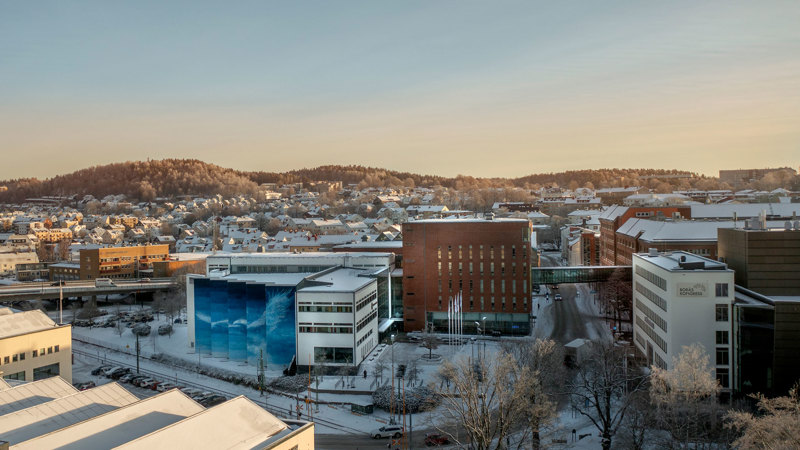 View over a snowy campus