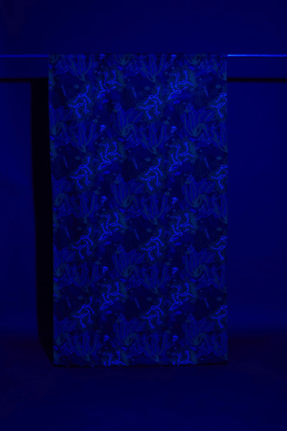 Image from collection by Luna Gill