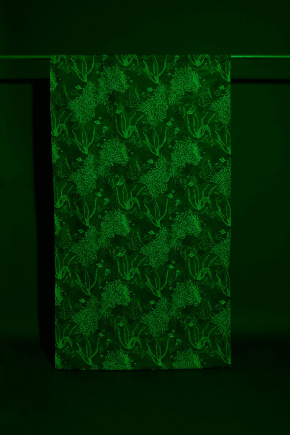 Image from collection by Luna Gill