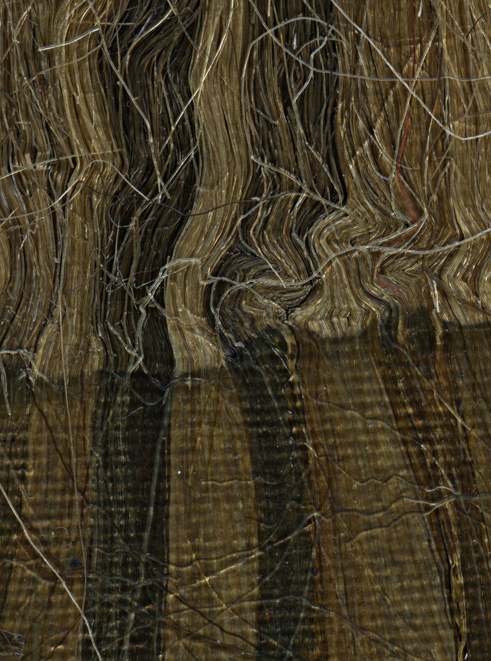 Image of collection by Romy Kaiser