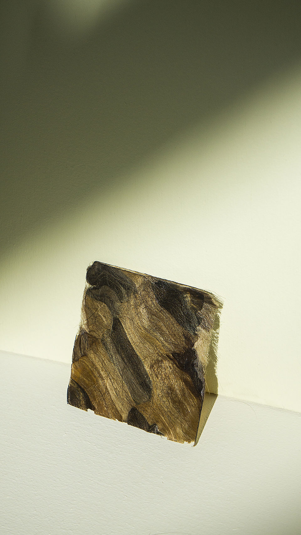 Image of collection by Romy Kaiser