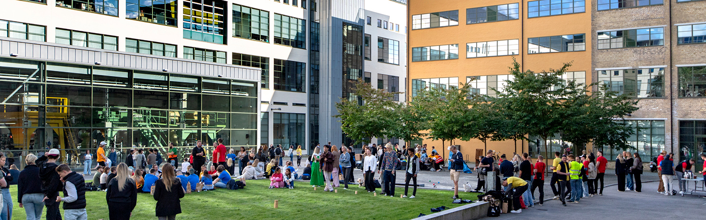 Students playing kubb in green park on campus