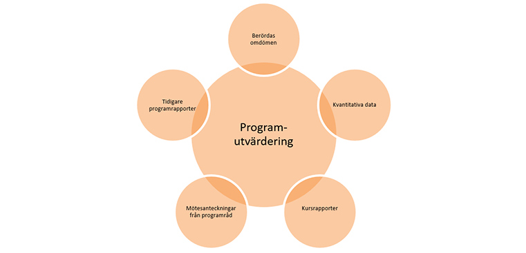 Programutvärderingens ingående delar: Berördas omdömen, Kvantitativa data, Kursrapporter, Mötesanteckningar från programråd och Tidigare programrapporter